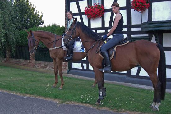 Gemeinsam vor dem Ausritt.....