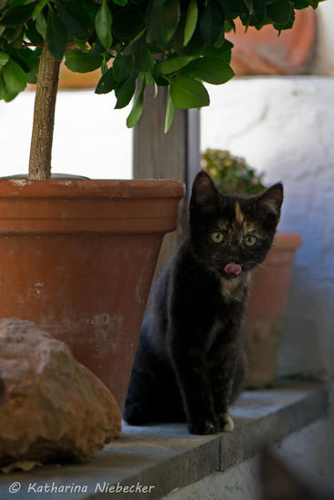 Ist der Kleine nicht einfach süss.....?