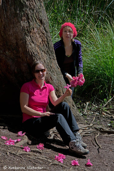 Der Rhododendron-Garten in Olinda steht in voller Pracht.... mit den abgefallen Blüten haben wir viel Spaß........