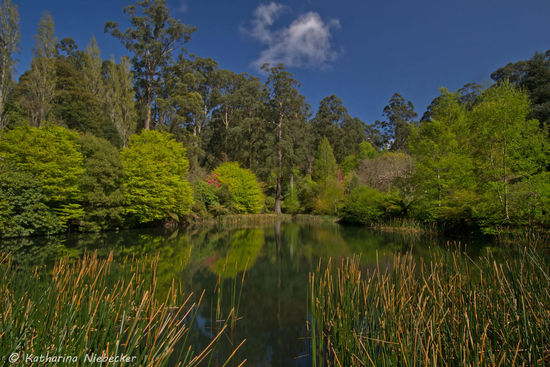 Frühling ist einfach die schönste Zeit des Jahres... egal wo.... es ist einfach nur traumhaft wenn alles in dem zarten, frischen Grün erstrahlt und überall die Blumen blühen........