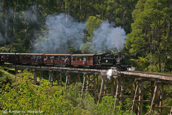 Genau zum richtigen Zeitpunkt kamen wir in Belgrave an der Brücke von Puffing Billy an, fährt er doch nur vier mal am Tag in diese Richtung......