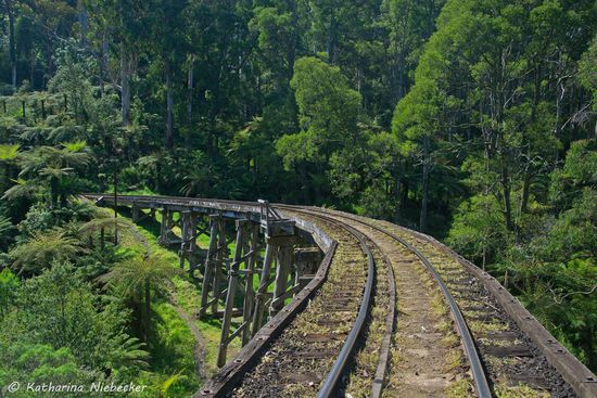 Nachdem der Zug vorbeigefahren ist, liefen wir über die Brücke auf die andere Seite, was natürlich eigentlich nicht erlaubt ist......