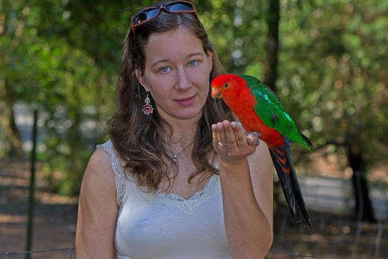 Weiter ging es auf einen kurzen Stop zum "Grants Picnic Ground"..... Habe ich schon einmal erwähnt, dass ich diese King Parrots einfach nur liebe??? Sie sind wunderschön und sehr zutraulich.... Den hier hätte ich doch am liebsten einfach eingepackt und mitgenommen.... Aber das darf ich ja immer noch nicht.... sonst hätte ich wohl schon einen kleinen Zoo....