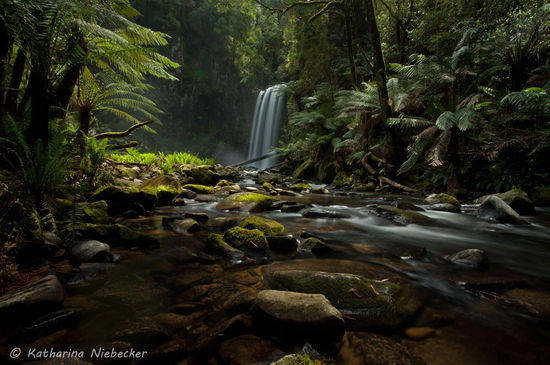 Also wenn das nicht das Paradies auf Erden ist, dann weiss ich auch nicht mehr weiter....... "Hopetoun Falls" - Ein absoluter Traum.......