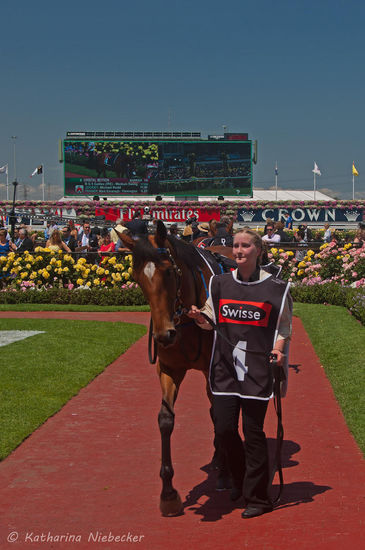Kerstin mit "Orbital Motion" - ihrem Lieblingspferd hier - vor dem Rennen im Führring.