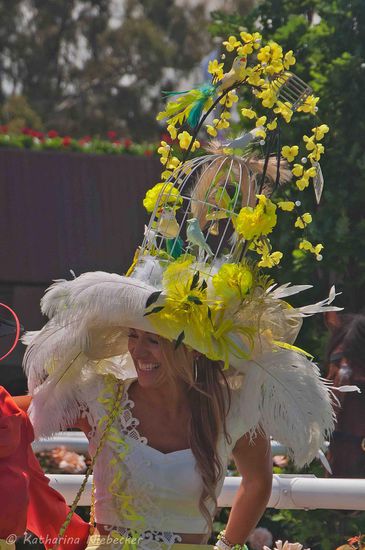 Ausschnitt des obigen Bildes, damit man den Hut besser erkennen kann....