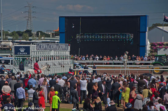 Gerade öffnen sich die Türen der Startboxen und die ersten Nasen der Pferde erscheinen im Bild.....