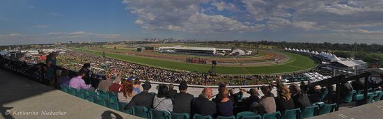 Was für eine Aussicht von hier oben!!!! Ein toller Blick über die gesamte Rennbahn mit Skyline im Hintergrund (hier wirkt sie doch sehr klein in der Bildmitte...)