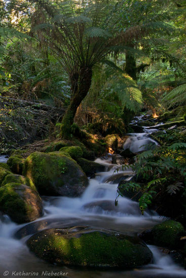 Der Crimson Creek.....