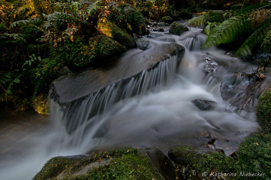 Mein Lieblingsplatz am Crimson Creek, den ich im Mai mit Marco gefunden habe, da er nun nicht unbedingt am offiziellen Weg liegt.....