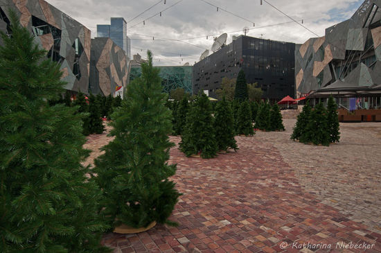 Auf dem Federation Square wurde ein kleiner Weihnachtsbaum-Wald aufgestellt.... Nur ganz echt sind die Dinger nicht.... aber nette Idee.....