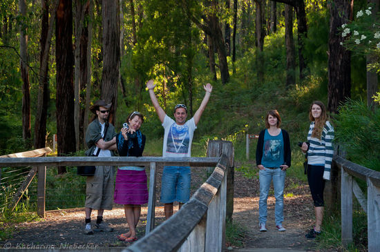 Noch sind die meisten ein wenig verschlafen..... 