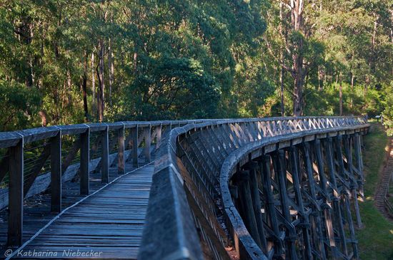 Historische Trestle Bridge von Noojee