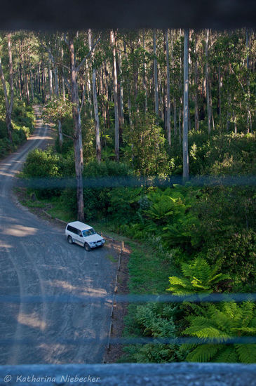 Mein bester Freund - mein Auto  - hier von der Trestle Bridge aus gesehen....