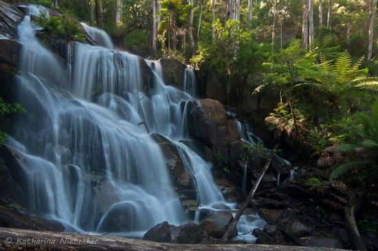 Toorongo Falls