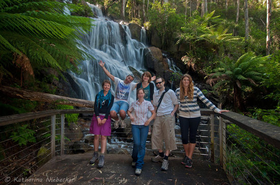 Ein Gruppenfoto vor den Toorongo Falls - Sabrina, Dan, Alex, Justin und Leah, sowie meine Wenigkeit 