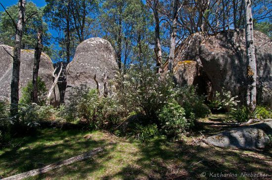 "Boulders" (übersetzt heißt dies "Geröll") beim Mushroom Rock.