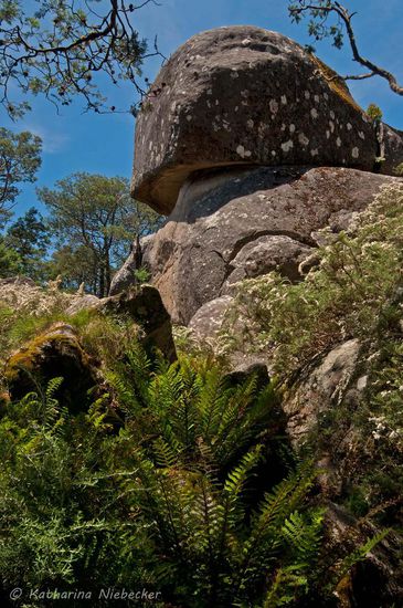 Da ist er: der "Mushroom Rock"