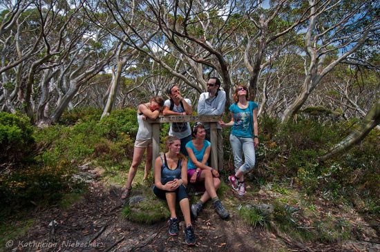 Finally we are on top of the mountain  - Mt. Erica auf 1509 Metern -  Es war ein kleine Herausfoderung, gerade für mich, da ich so gar nicht an das Wandern gewöhnt bin und ich meine komplette Kamera-Ausrüstung dabei hatte, was ja nicht gerade wenig wiegt.... Aber ganz so fertig wie auf diesem Bild waren wir natürlich nicht wirklich 