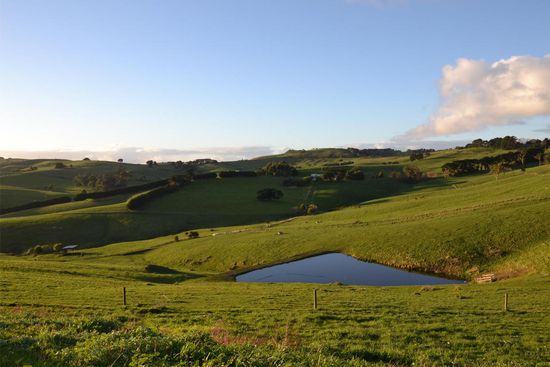 Ausblick auf die Koppeln von meinem Bungalow aus.