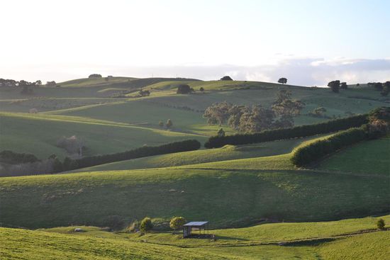 Überall in Sichtweite grüne wellige Hügel..... so wie man sich sicherlich auch Irland vorstellen kann.
