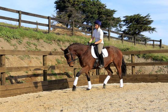 Der Kerl stellt sich dafür gar nicht schlecht an....