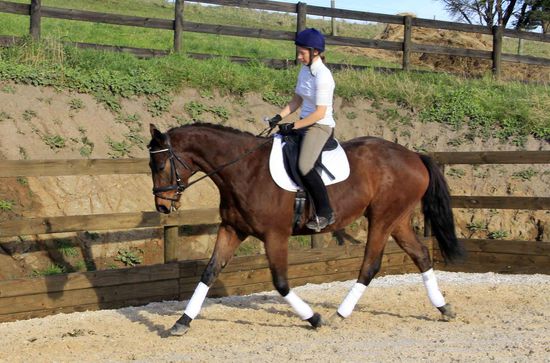 man mag es kaum glauben, wie brav und entspannt er unter dem Sattel geht....