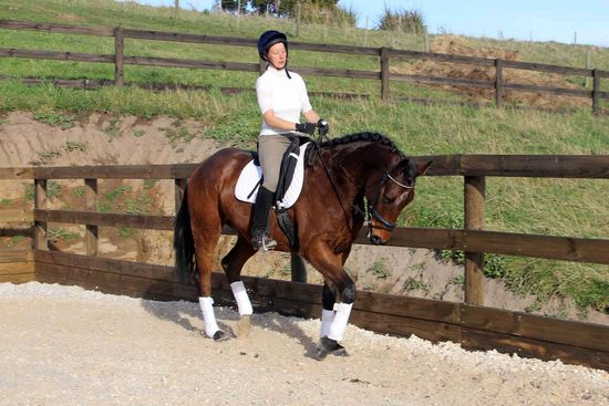 Nur die Reiterin muss noch ein wenig üben, damit sie wieder besser auf dem Pferd sitzt....