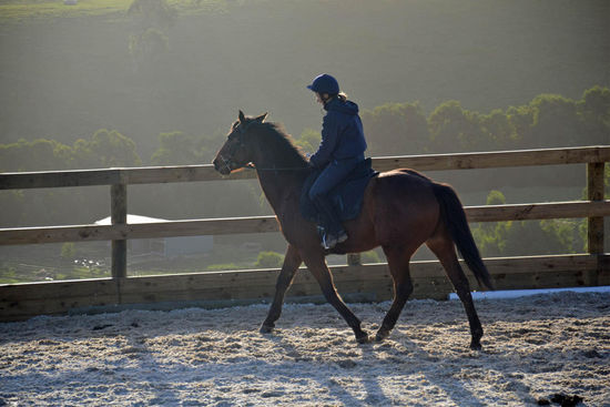 Alandro und ich bein wir der Arbeit.... (immerhin tun wir so als ob  )