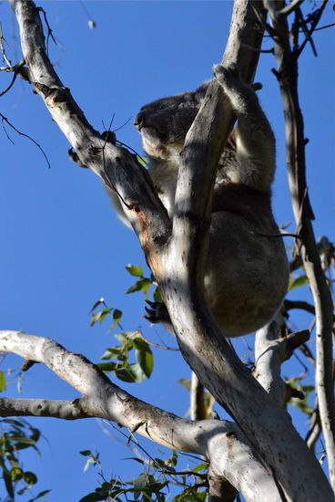 Hey, von hier oben hab ich ja na viel bessere Aussicht als von da unten....