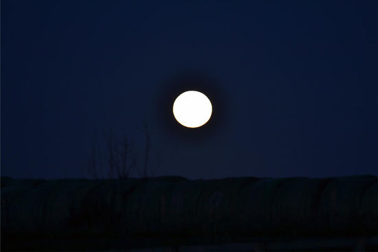 Vollmond auf der Pferdefarm
