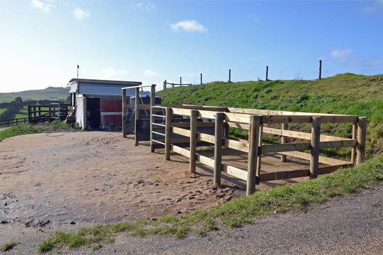 Hier der Putzplatz und die "Sattel-/Futterkammer"