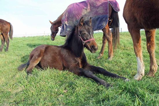 Stretching am Nachmittag kann ganz schön anstrengend sein.....