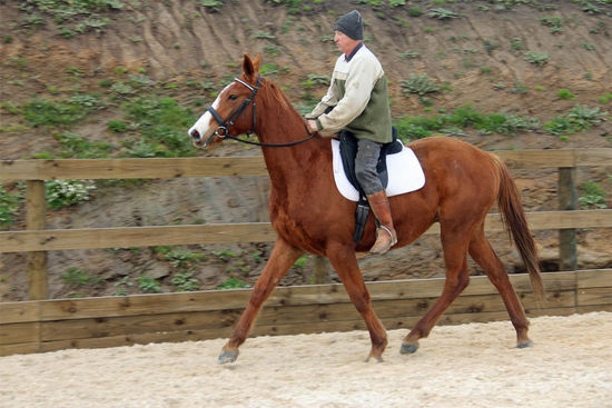 Zum Ende hin ging er zwar einigermaßen, aber glücklich ist das Pferd trotzdem nicht. Kann man nur hoffen, dass er es den Menschen nicht übel nimmt.