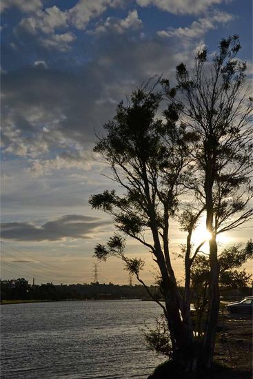 Abendstimmung am Yarra-River in Melbourne/Flemington