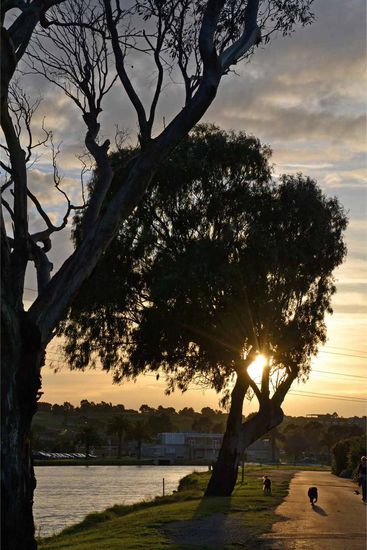 Noch mehr von dieser romantischen Abendstimmung am Fluß 