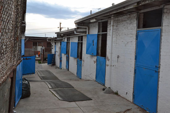 Ein alter verwaister Pferdestall aus früheren Zeiten mitten in einem Wohngebiet neben der Rennbahn. Da stehen wohl schon seit langem keine Pferde mehr drin.