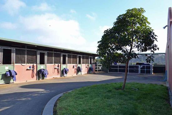 Hier die Außenboxen und im Hintergrund die Sandpaddocks.