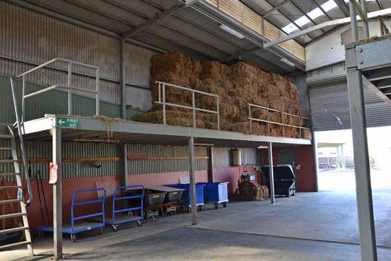 Der Ausgang des zweiten Stalles, wo das Heu gelagert wird. Die Pferde bekommen nur einmal am Tag Heu, was mich sehr erstaunt hat, habe ich doch gedacht, dass dies sehr wenig ist. Doch die Pferde bekommen mit dem Kraftfutter (zweimal am Tag) noch gehäckseltes Heu und Luzerne, was den Ausgleich wohl stellt. Bisher habe ich noch kein Pferd gesehen, das nicht gut im Futter steht (im Verhältnis für Rennpferde!)