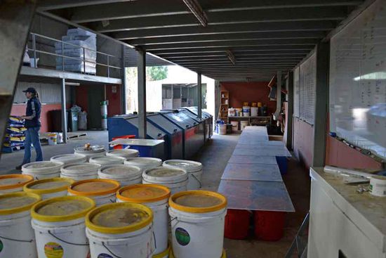 Der Ausgang vom Hengststall - hier wird das Kraftfutter zusammengestellt. Hafer ist auch hier der Hauptbestandteil. Dazu gibt es je nach Ansprüchen der Pferde: geschroteter Mais, Kraftfuttermix mit Melasse, Pellets (Mineralien), Sonnenblumen-Kerne, getrocknete Kichererbsen (das ist kein Spaß) und gehäckseltes Heu und Luzerne. Zusätzlich wird noch Weizenkleie mit Wasser und Melasse angemischt und Nachmittags gefüttert. Es gibt noch etliche Pulver und Säfte, die untergemixt werden. Es ist also eine Wissenschaft für sich....