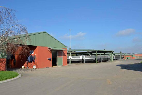 Hier eine Teilansicht vom Gelände, wenn man das Stallgelände betritt. Links die Sattelhalle (so bezeichne ich das jetzt mal) mit Sattelkammer, Waschplatz und Sandplatz und dahinter sind die zwei Führanlagen zu sehen. Die vordere ist für die Hengste und kann bis zu 14 Pferde fassen, während die hintere für die Stuten bleibt und max. 12 Pferde aufnehmen kann. Rechts vom Foto befinden die zwei Ställe (man kann den Schatten davon erkennen), die nur nicht mehr mit auf das Bild gepasst haben.