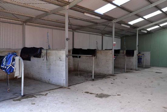 Hier werden morgens die Pferde immer zum Reiten gesattelt Erstaunlicherweise stehen die Pferde auch sehr ruhig darin, da sie von Anfang an daran gewöhnt werden.