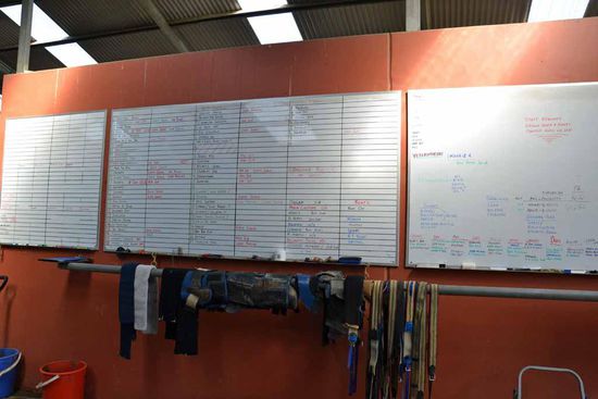 Gegenüber der Ständer zum Satteln befindet sich die Tafel mit den Pferden und ganz links mit dem Tagesplan, wo die Pferde dann immer den entsprechenden Reitern eingeteilt werden. Es ist also alles bestens durchorganisiert und durchgeplant.