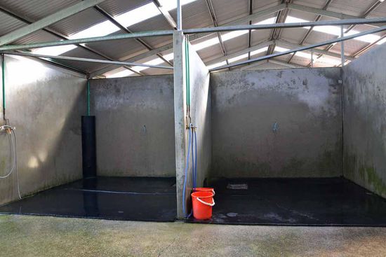 Es gibt zwei schöne große Waschplätze mit Warm- und Kaltwasser, wo die Pferde nach dem Reiten abgespritzt werden.