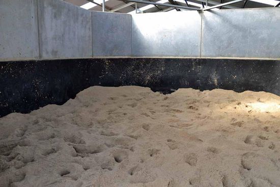 Nach dem Abspritzen dürfen sich die Pferde hier im sogenannten "Sandroll" nach Herzenslust im Sand wälzen, was viele Pferde auch mit Vergnügen machen. Es gibt kaum ein Pferd, welches sich nicht gerne dreckig macht. Nach dem Sand-Wälzen kommen die Pferde noch in die Führanlage, um dort zu trocken.