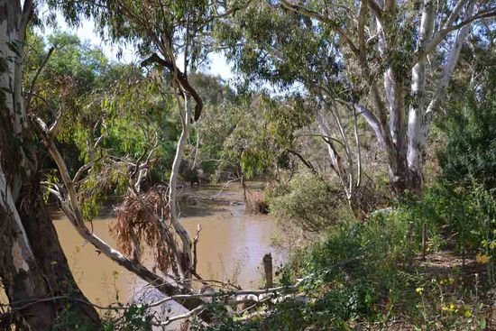 Der erste Blick auf den Fluß, nachdem ich etwas länger dafür suchen mußte. Man glaubt gar nicht, dass das in einer 4 Millionen-Metropole ist, auch wenn der Park in einem der äußeren Stadtteile liegt.