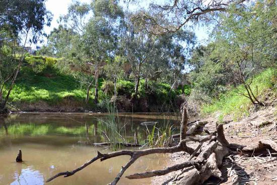 Die ersten Eindrücke lassen doch viel für die wirkliche Natur außerhalb von Melbourne versprechen.... 