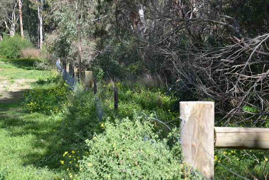 Leider ist der Fluß zum Großteil eingezäunt 