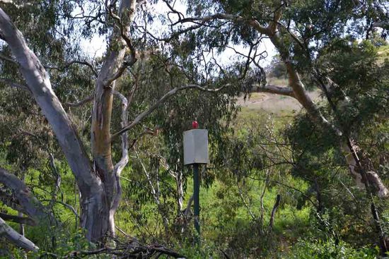 Mitten im Grünen eine Signal-Lampe - wofür auch immer..... *grübel* Irgend einen Sinn wird das schon haben....
