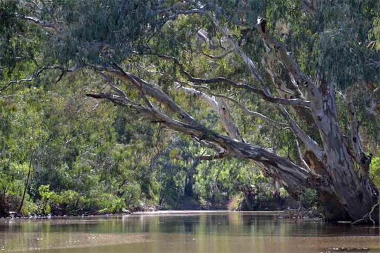 Hier habe ich eine Furt gefunden, wo man den Fluß durchqueren kann.